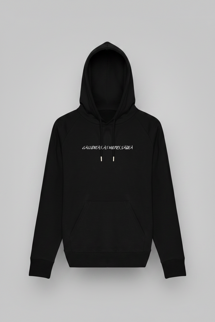 Hoodie cunning Fox BLACK